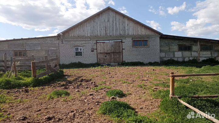 Ферма коровник