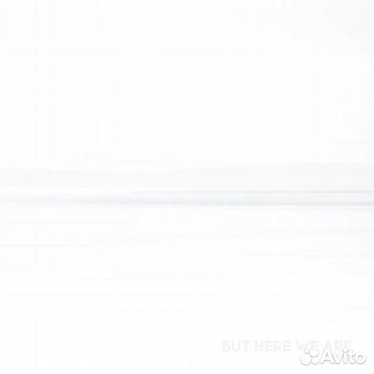 Виниловая пластинка Foo Fighters - But Here We Are