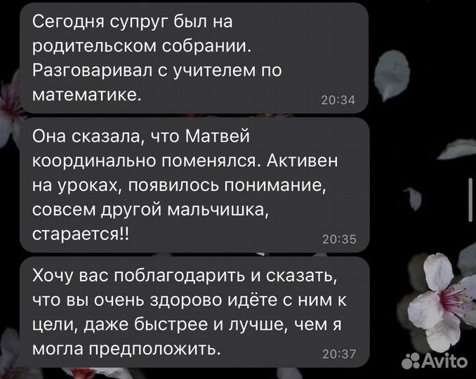 Репетитор по математике. Подготовка к огэ