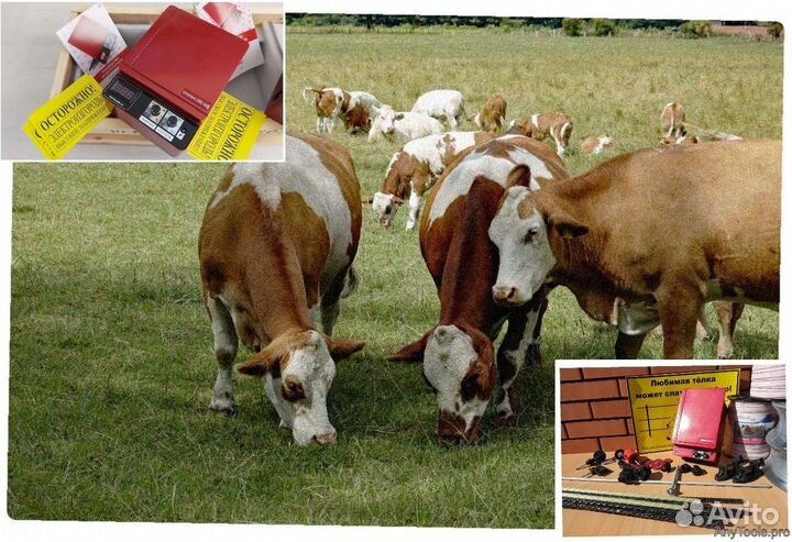 Электропастух