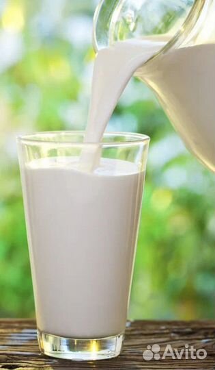 Козье молоко, козий сыр, мясо кролика