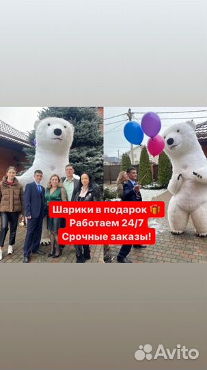 Белый Мишка поздравление