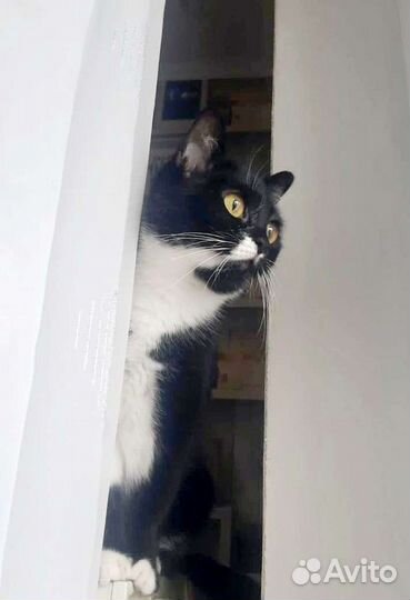 Малышка Фрея ищет семью