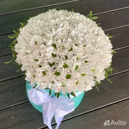 25 белых хризантем в коробке