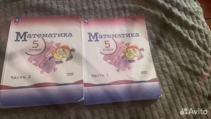 Учебники 5 класс история математика