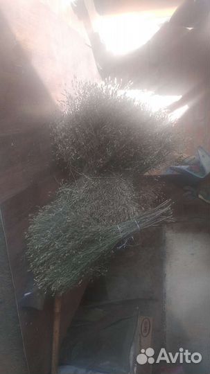 Садовая метла