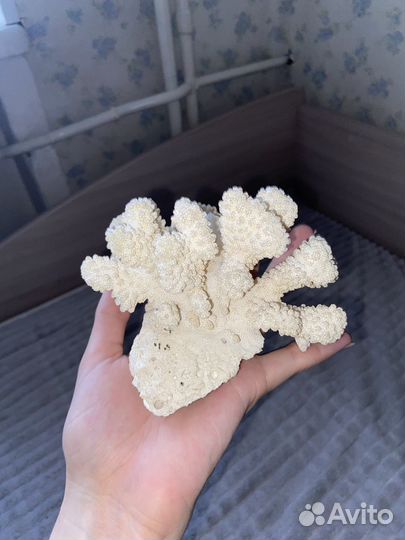 Декорации для аквариума бу