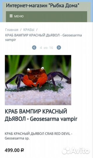 Краб красный дьявол 2,5см