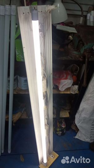 Лампы дневного света