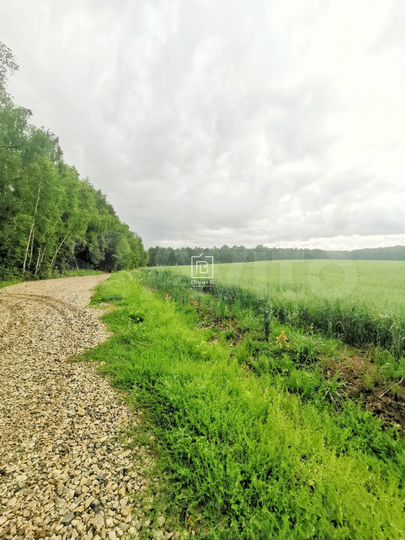 Участок 40 сот. (личное подсобное хозяйство (лпх))