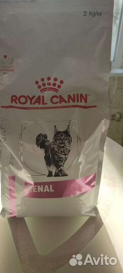 Сухой корм для кошек роял канин