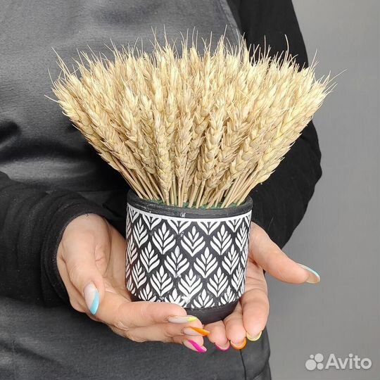 Композиции из Лаванды и других сухоцветов