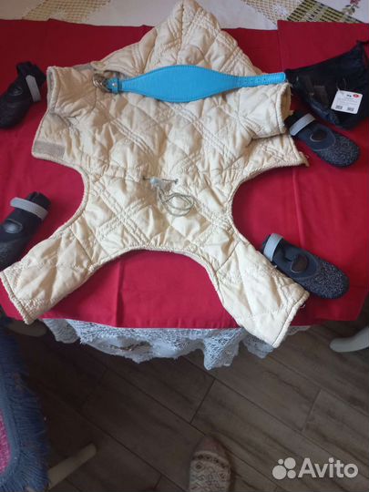 Одежда для животных