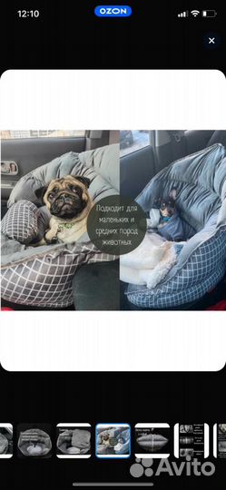 Автокресло для собак