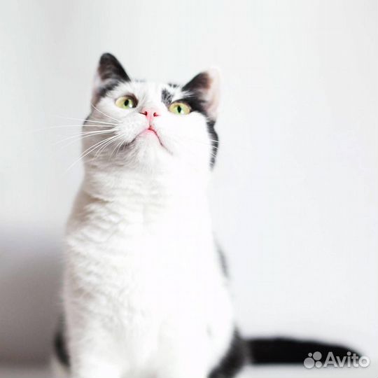 Пристраиваем Малышку