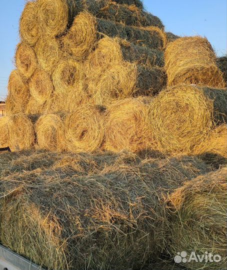 Продам сено в рулонах