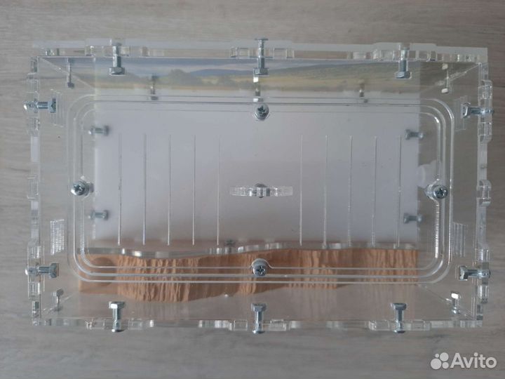 Вертикальная муравьиная ферма