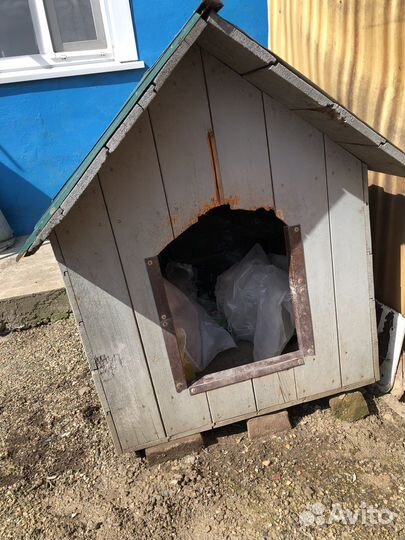 Будка для собаки