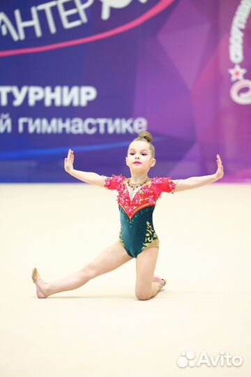 Купальник для художественной гимнастики 110