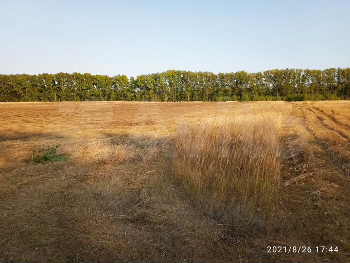 Участок 10 га (ИЖС)