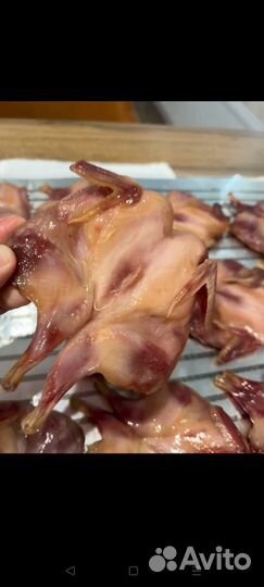 Вяленая перепелка к пенному