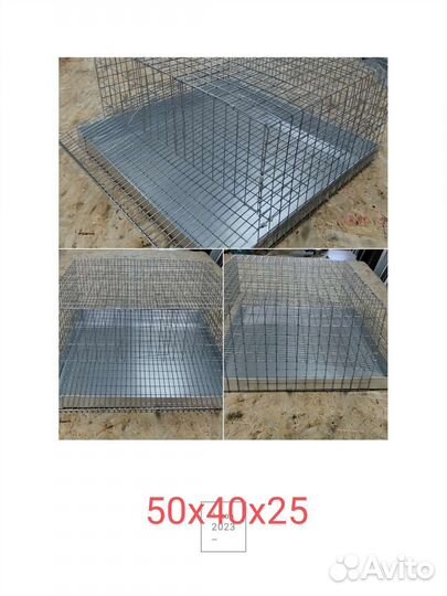 Клетки, сетка