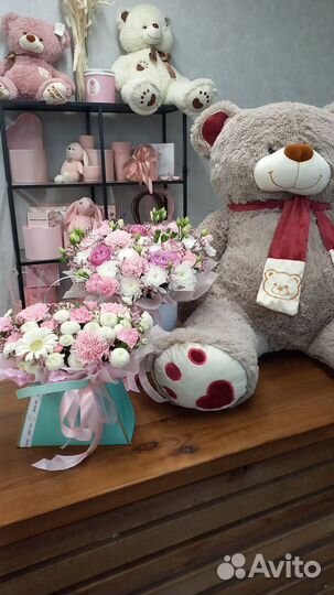 Мишка лучший подарок