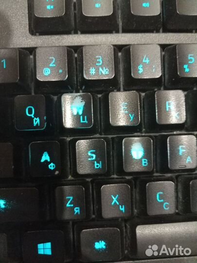 Игровая клавиатура razer cynosa lite