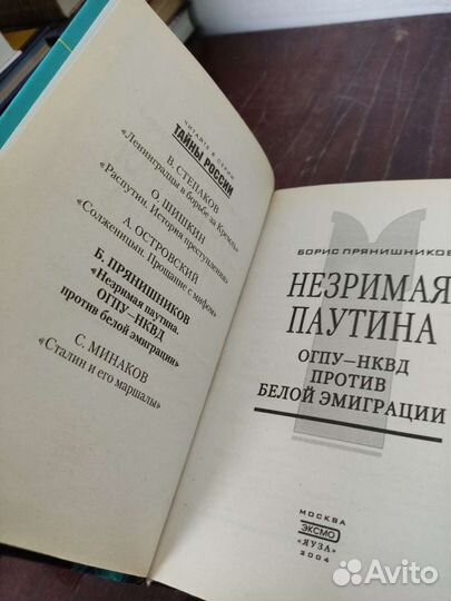 Незримая Паутина. Б. Прянишников