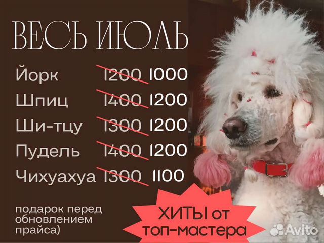 Груминг собак и кошек, Экспресс-линька объявление продам