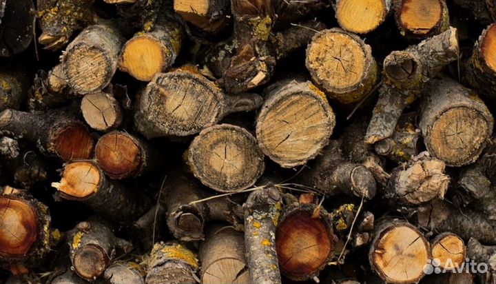 Дрова крупноколотые
