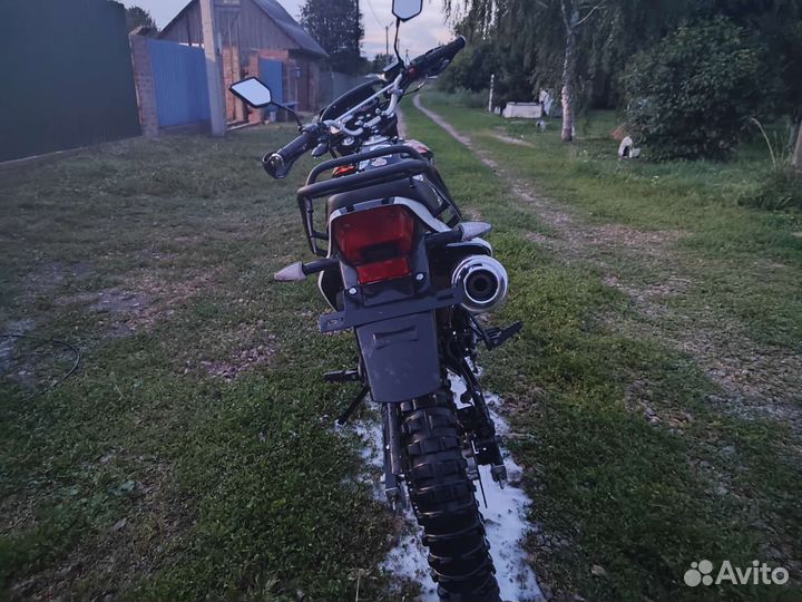 Рейсер Пантера 300