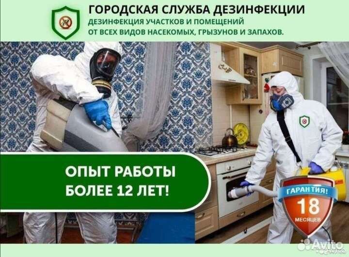 Уничтожение клопов,тараканов,мышей,блох,муравьев