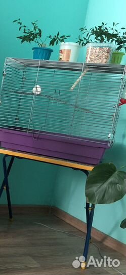 Продам клетку