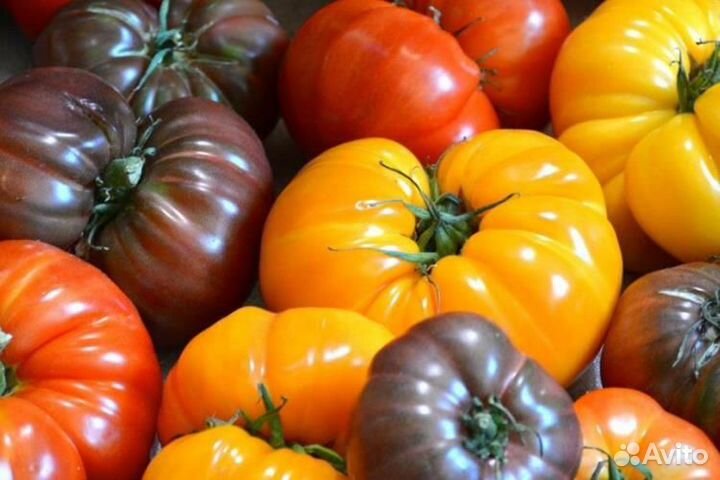 Томаты,помидоры домашние