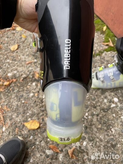 Горные лыжи