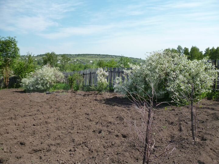 Участок 8,1 сот. (СНТ, ДНП)