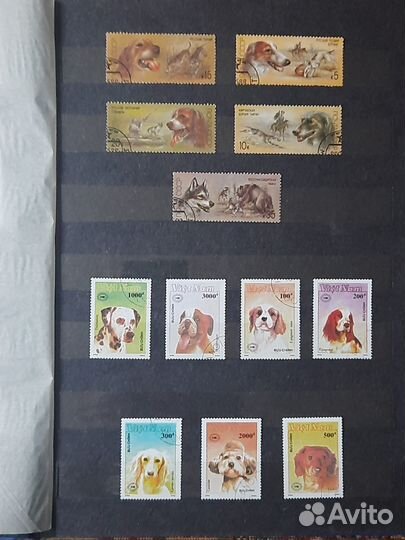 Коллекция почтовых марок 