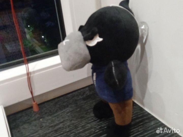 Ворон из бравэл старс