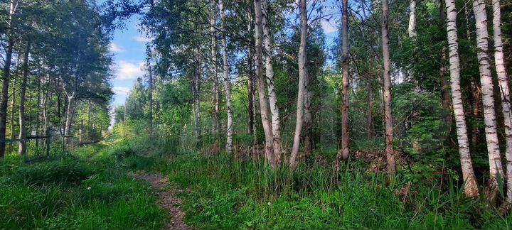 Участок 6 сот. (СНТ, ДНП)