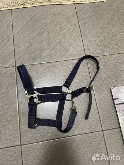 Недоуздок для лошади