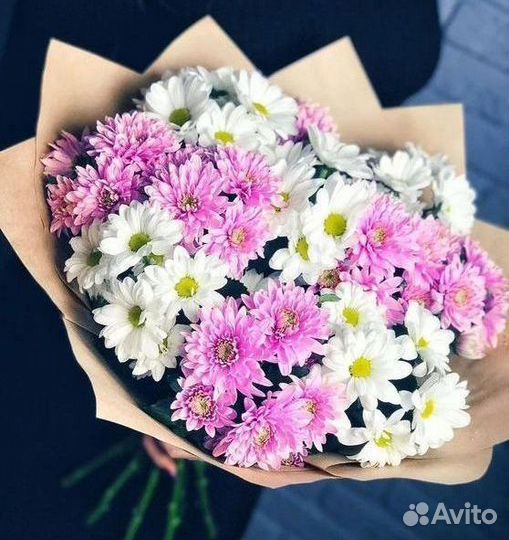 Цветы Хризантемы букет