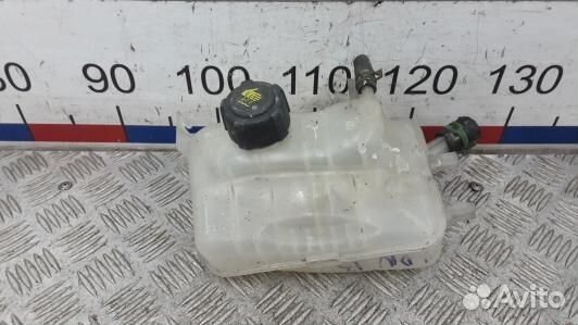 Бачок расширительный renault fluence 1 (LDN13NP01)