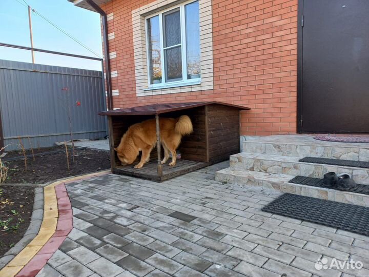 Будки для собак с верандой и без