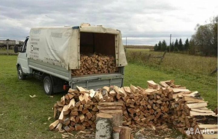 Дрова ольха