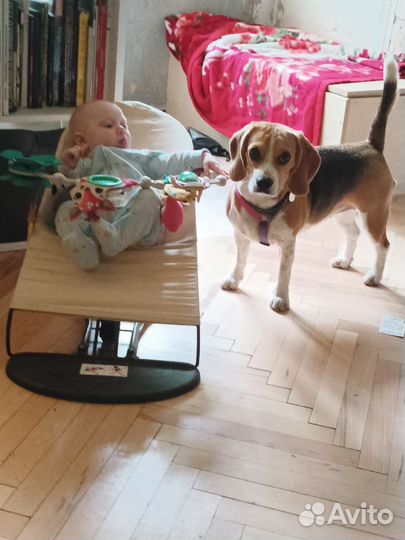 Няня для девочки 5 месяцев