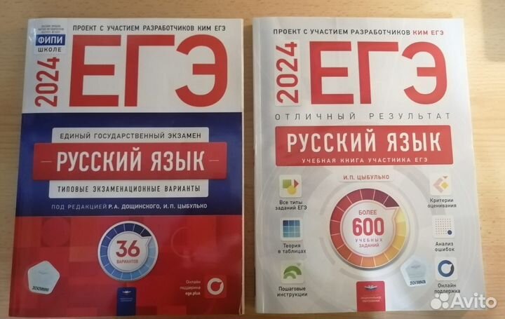 Русский язык ЕГЭ 2024