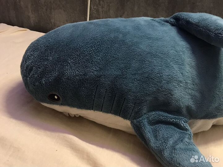 Акула из икеи по имени Йорик