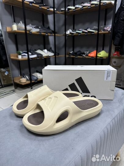 Тапки Adidas Adicane slide