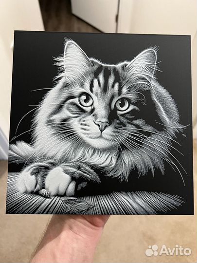 Коты - 3д-картины